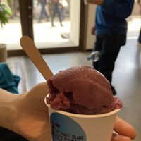 blueverry and basil at Mount Desert Island Ice Cream in Matsumoto