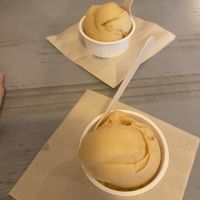 Apricot sorbet   at Mount Desert Island Ice Cream in Matsumoto