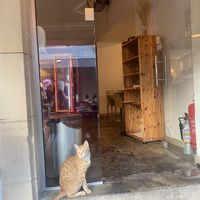   at Ousia Soulful Kitchen in Limassol