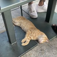   at Ousia Soulful Kitchen in Limassol