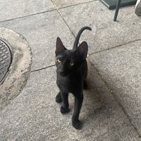   at Ousia Soulful Kitchen in Limassol