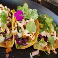 Tacos! at Cactú in Arecibo