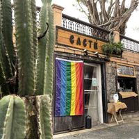 outside   at Cactú in Arecibo