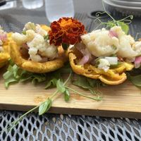  #Veganuary at Cactú in Arecibo