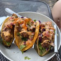 Fried Eggplant tacos with spicy mayo  at Cactú in Arecibo