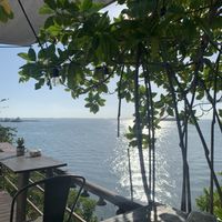   at The Pink Coconut in Cancun