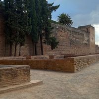 Granada at Finca Pereila in Coin