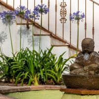   at Finca Pereila in Coin