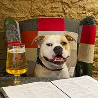 Dog friendly!   at Harbour Lights in Paignton