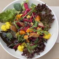 Ensalada de temporada   at Aguaribay in Barcelona