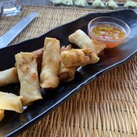 Thai rolls  at Le Serre by Vivi in Rome