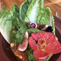   at MA and The Seeds of Life in Hong Kong Island