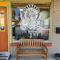   at Cats Luck Vegan in Neptune City