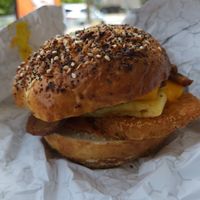 The Cool Cat at Cats Luck Vegan in Neptune City