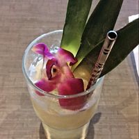 MI TIA  at GuacStar Kitchen and Cantina in Tempe