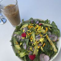   at Parakeet Cafe in Coronado