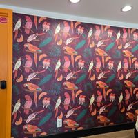 Wallpaper at Parakeet Cafe in Coronado
