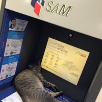 First visit to lucky cat at hougang CC and we saw this when we left the premises 🙏🏼🌟😜👊🏿💖🍀 at Lucky Cat Cafe in Northeast Singapore