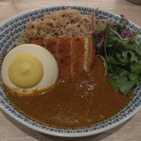 Original curry sauce with brown rice, tofu katsu and tofu fried egg at RUCY+R 横浜ジョイナス店 in Yokohama
