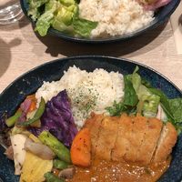 Spinach curry with karaage and roast vegetables. Spice curry with katsu and roast vegetables   at RUCY+R 横浜ジョイナス店 in Yokohama