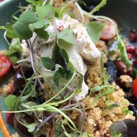 Swayambhu portobello at Elektra - Himalayan Alchemy House in Fitzroy