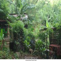 z bushbar so far
 at Bushbar in Kingstown