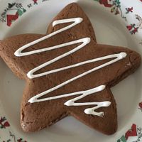Gingerbread Star  at Maya's Cookies in San Diego