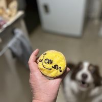 Lemon tart   at All Things Sweet Bakery in Lawnton