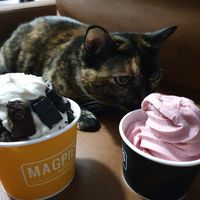 Strawberry Hibiscus at Magpies Softserve in Los Angeles