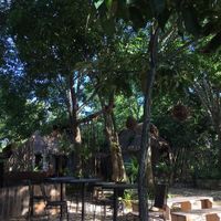 All the place is outdoors at Líquido y Sólido in Tulum