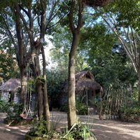 Outdoor  at Líquido y Sólido in Tulum