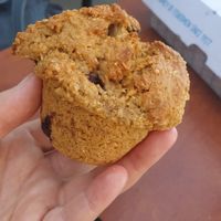 Wholemeal apple and blueberry vegan muffin at Muffin Break in Kangaroo Flat