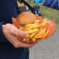 The chicken burger and chips  at Chickenish - Walthamstow in East London