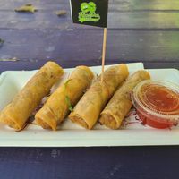 Curry spring rolls are a must try!! at HapPea Vegans in Austin