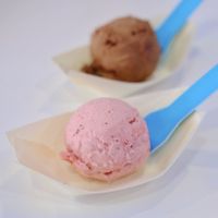 Vegan icecream at Donut Worry in East Victoria Park