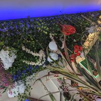  at Healthy Mania in Phuket