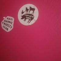 I don't eat my homies | bathroom stickers at The Fussy Vegan - Greenside in Johannesburg