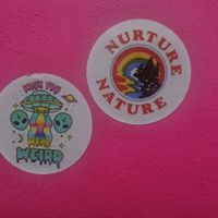 Wish you were weird | bathroom stickers at The Fussy Vegan - Greenside in Johannesburg