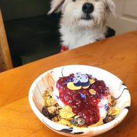 Homemade granola at The Garden Cafe & Restaurant in Budapest