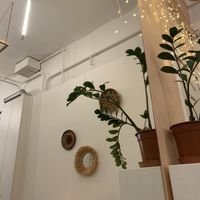   at The Garden Cafe & Restaurant in Budapest