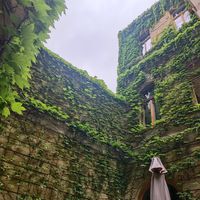  at The Garden Cafe & Restaurant in Budapest