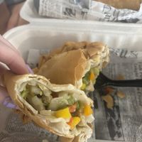 conch empanadilla  at 100% HP in San Juan