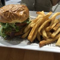 Burger  at 100% HP in San Juan