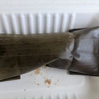 Vegan torta at 100% HP in San Juan