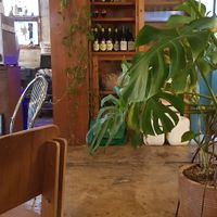 Plants!!!!! And lots of wine at The Common in Daegu