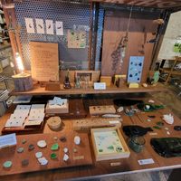  at The Common in Daegu