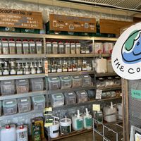   at The Common in Daegu