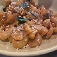 Elbows + vodka sauce at Sestina - Culver City in Culver City