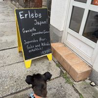 A dog hoping to also experience Japan’s flavours  at MOMOKO in Leipzig