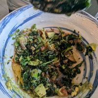  at PLANTA Queen  in Coconut Grove